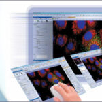 Software de achizitie si analiza a imaginii cellSens